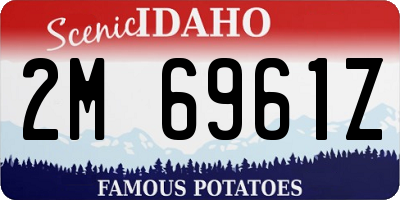 ID license plate 2M6961Z