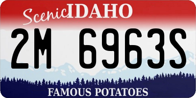 ID license plate 2M6963S