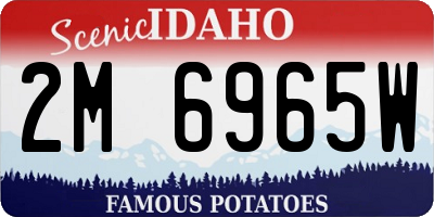 ID license plate 2M6965W
