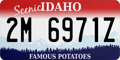ID license plate 2M6971Z