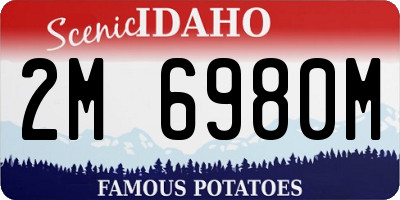 ID license plate 2M6980M