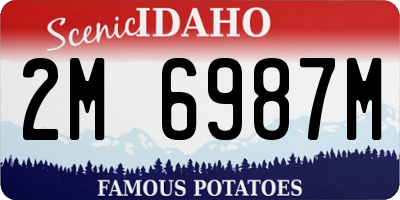 ID license plate 2M6987M