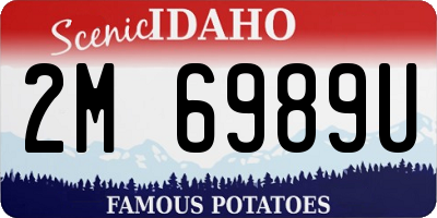 ID license plate 2M6989U