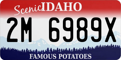 ID license plate 2M6989X