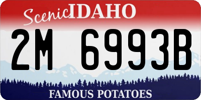 ID license plate 2M6993B