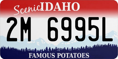 ID license plate 2M6995L