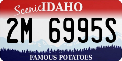 ID license plate 2M6995S