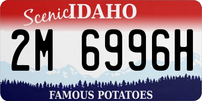 ID license plate 2M6996H