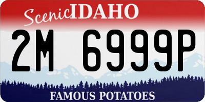 ID license plate 2M6999P