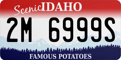 ID license plate 2M6999S