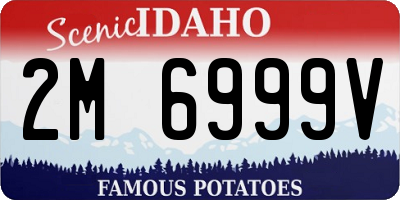 ID license plate 2M6999V