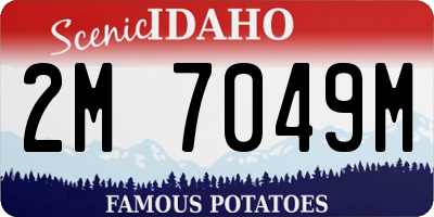 ID license plate 2M7049M