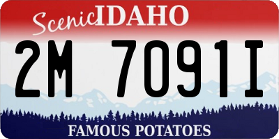 ID license plate 2M7091I