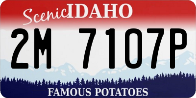 ID license plate 2M7107P