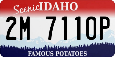 ID license plate 2M7110P