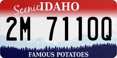 ID license plate 2M7110Q