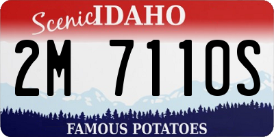 ID license plate 2M7110S