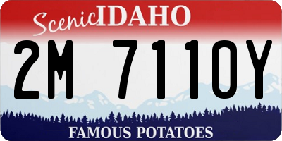 ID license plate 2M7110Y