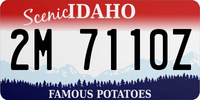 ID license plate 2M7110Z