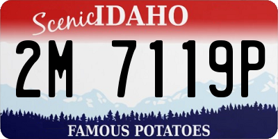 ID license plate 2M7119P