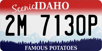 ID license plate 2M7130P