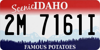 ID license plate 2M7161I