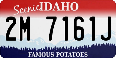 ID license plate 2M7161J