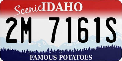 ID license plate 2M7161S