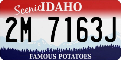ID license plate 2M7163J
