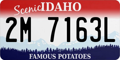 ID license plate 2M7163L