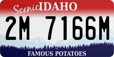 ID license plate 2M7166M