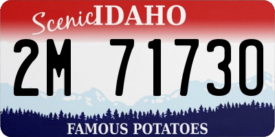ID license plate 2M7173O