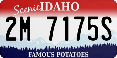 ID license plate 2M7175S