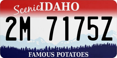 ID license plate 2M7175Z