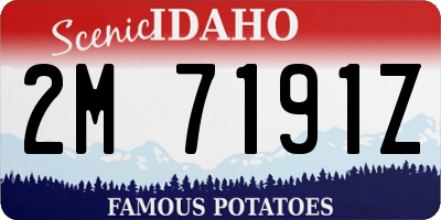 ID license plate 2M7191Z