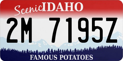ID license plate 2M7195Z
