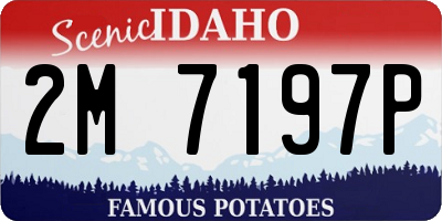 ID license plate 2M7197P
