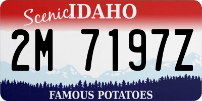 ID license plate 2M7197Z