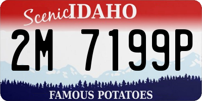 ID license plate 2M7199P