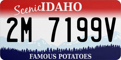 ID license plate 2M7199V