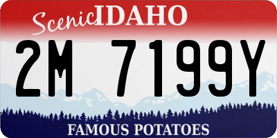 ID license plate 2M7199Y