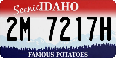 ID license plate 2M7217H