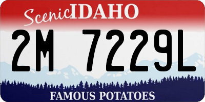 ID license plate 2M7229L
