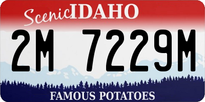 ID license plate 2M7229M
