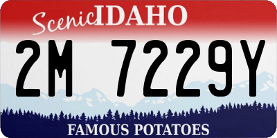 ID license plate 2M7229Y