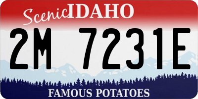 ID license plate 2M7231E