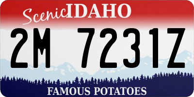 ID license plate 2M7231Z