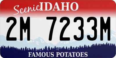 ID license plate 2M7233M
