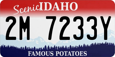 ID license plate 2M7233Y