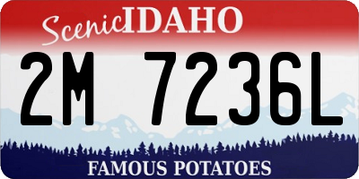ID license plate 2M7236L